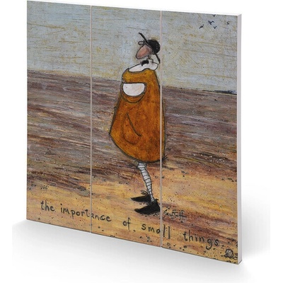 Obraz na dreve Sam Toft - The Importance Of Small Things, 30 × 30 cm