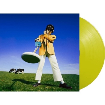 Declan McKenna - What Happened To The Beach? (Yellow Coloured) (LP) (850053211560)