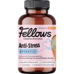 Fellows Супер добавка срещу стрес за кучета с валериана Fellows Anti-Stress 200gr