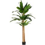 Bizzotto ИЗКУСТВЕНО РАСТЕНИЕ banana 180x320 (0172970)