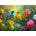 Enjoy - Puzzle Lovebirds Duet - 1 000 piese