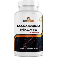 Androrganics Magnesium Malate 120 kapsúl