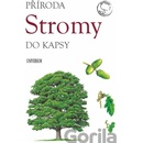 Stromy