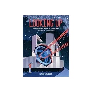 Looking Up | Stephanie Scholz (ISBN: 9781912497249)