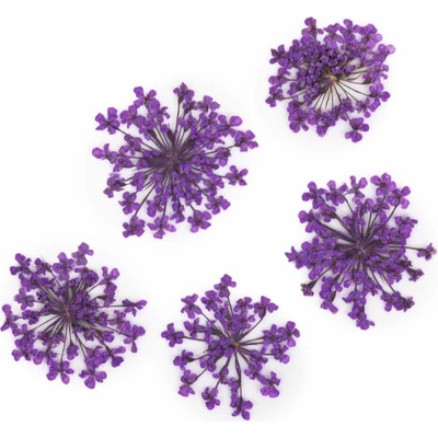 Starnails Sušené kvety na nechty Purple 5 ks