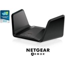 Netgear RAXE300-100EUS