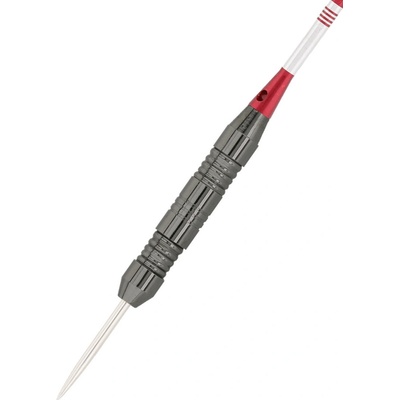 Bull's Steel Aero 22g