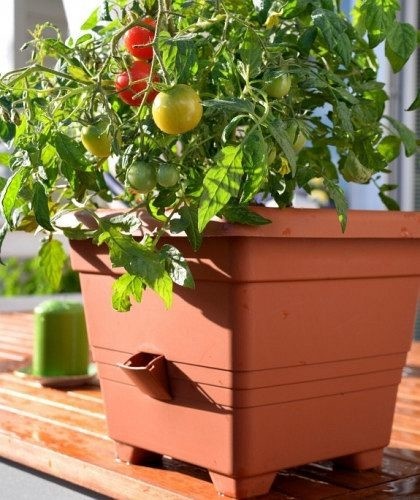 Plastia Pflanztopf Bergamot – 25x25 Cm, Mit Dochtbewässerung, Farbe Schokolade, Für Drinnen & Draußen