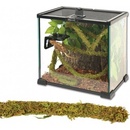 Repti Zoo Liana s přírodním mechem 1,5 cm x 2 m