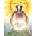 The Solstice Badger | Robin McFadden