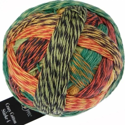 Schoppel Wolle Crazy Cotton Stärke 4 2627 Planet Herbst