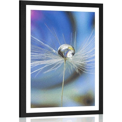 Plakát s paspartou kapka rosy na barevném pozadí - 40x60 white