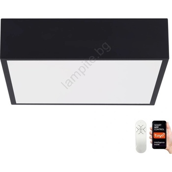 Immax 07237L - LED Димируем плафон CANTO 22W/230V черен Tuya + д. у (IM1242)