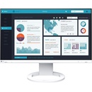 Eizo EV2490