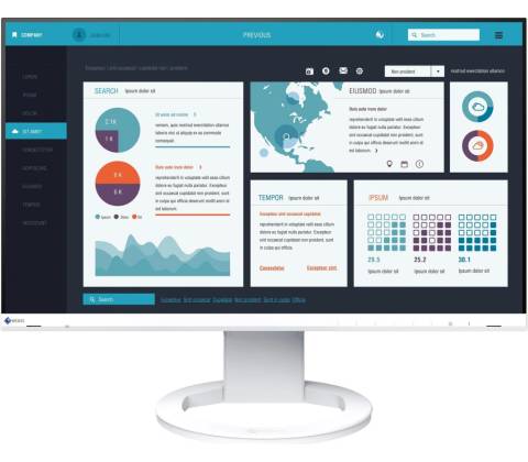 Eizo EV2490