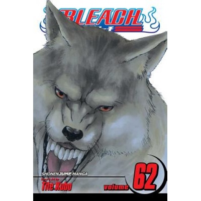 Tite Kubo - Bleach