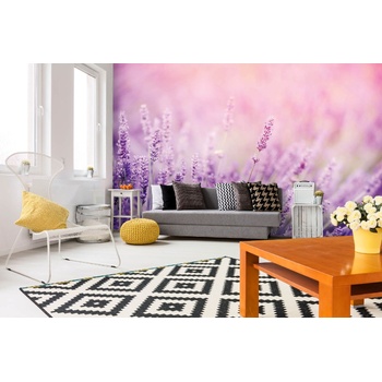 DIMEX ART s. r. o Самозалепваща се флизелинова фототапета лавандула 375 x 250 см