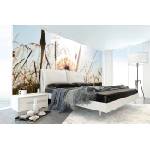 DIMEX ART Самозалепваща се флизелинова фототапета лятно глухарче 375 x 250 см