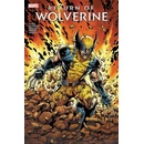 Return of Wolverine