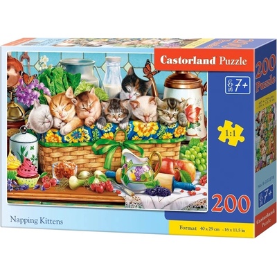 Castorland Podřimující koťata 200 dílků