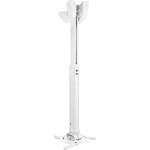Vogel's PPC 1555