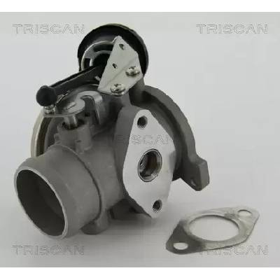 TRISCAN AGR ventil TRI 8813 29022