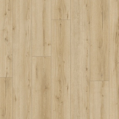 Parador Trendtime 6 Dub Loft pure 1744709 2,673 m²