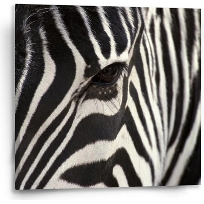 Sablio Obraz Detail zebra - 50x50 cm