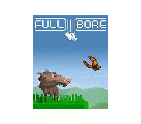 Full Bore