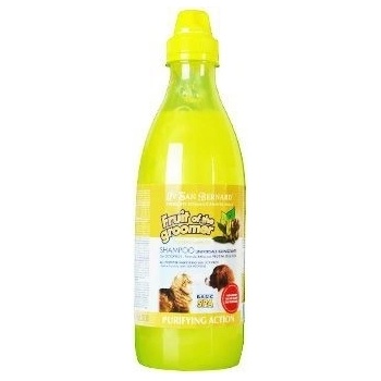 IV San Bernard Zenzero Sambuco 1000 ml