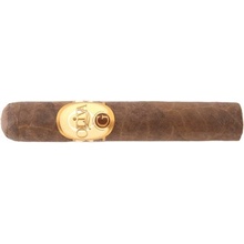 Oliva Serie G DBL Robusto 25ks