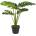 Bizzotto ИЗКУСТВЕНО РАСТЕНИЕ philodendron 60cm (0172389)