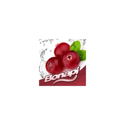 Bonapi BRUSINKA točené limonády post mix 10l