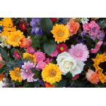 DIMEX ART Флизелинов фототапет смесен букет 375 x 250 см