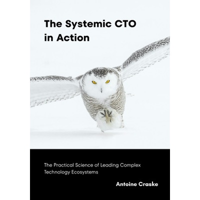 The Systemic CTO in Action | Antoine Craske