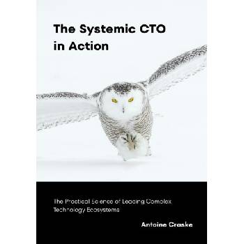 The Systemic CTO in Action