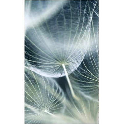 DIMEX ART Флизелинов фототапет глухарче макро 150 x 250 см