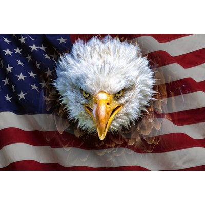 DIMEX ART Флизелинов фототапет американски орел върху знаме 375 x 250 см
