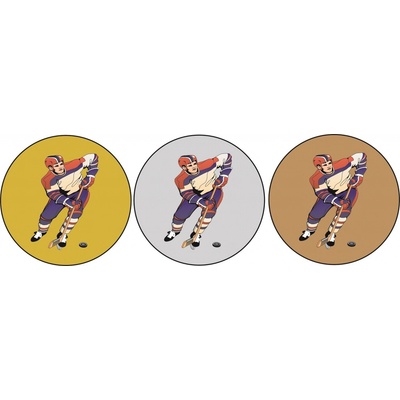 VIZINGR Lední hokej MINI loga L1č.180 – Hledejceny.cz