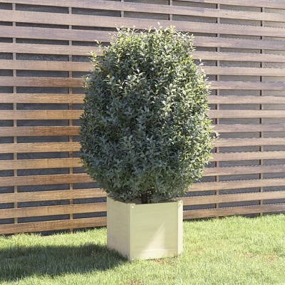 Greatstore truhlík bílý 40 x 40 x 40 cm masivní borovice