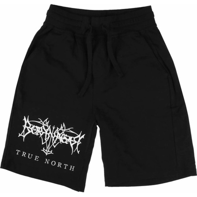 ART WORX Borknagar
