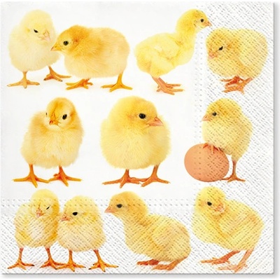 TaT servítky Little Chicken 33x33cm