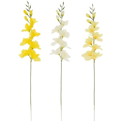 KS GLADIOLA x10 MIX/3F 81CM