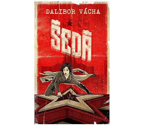 Šedá - Dalibor Vácha