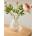 Marks & Spencer Малка ваза за букет Marks & Spencer бежова Marks & Spencer | Bezhov | Home | ЕДИН РАЗМЕР