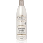 ALFAPARF Milano Il Salone Milano Glorious подхранващ шампоан за увредена коса 500ml
