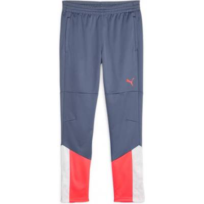 Puma individualCUP Training Pants Jr modrá