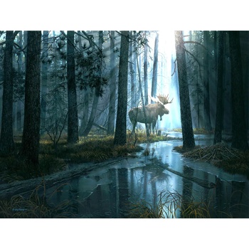 SunsOut - Puzzle Caught by Light - 300 piese