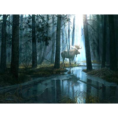 SunsOut - Puzzle Caught by Light - 300 piese