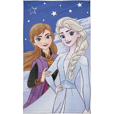 Detexpol dětský ručník Ledové Království Anna a Elsa 50 x 30 cm